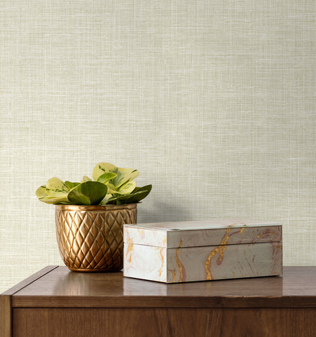 Collins & Company DC60406 Wallpaper - Eade's Wallpaper & Fabric