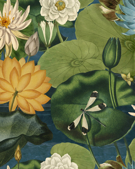 MindtheGap LOTUS BLOSSOM - Wallpaper Collection 2024 - The Wetlands