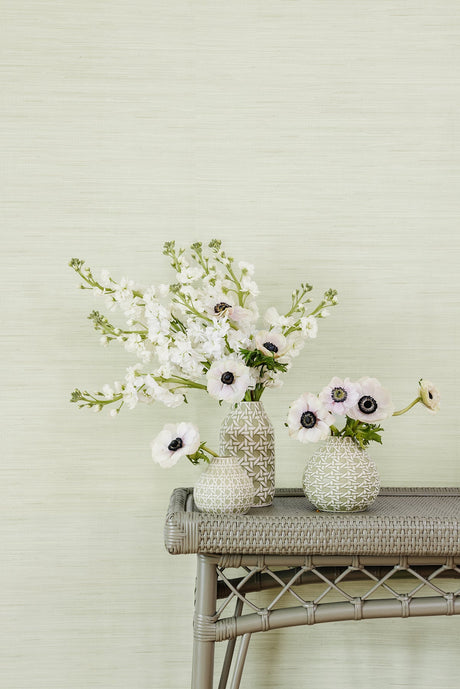 Society Social SSS6007 Cucumber Classic Faux Grasscloth Peel & Stick Wallpaper