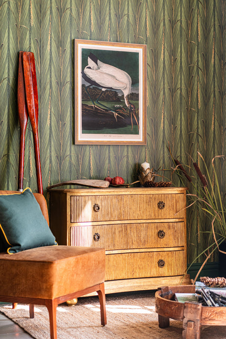 MindtheGap WOOD IBIS by AUDUBON - Wallpaper Collection 2024